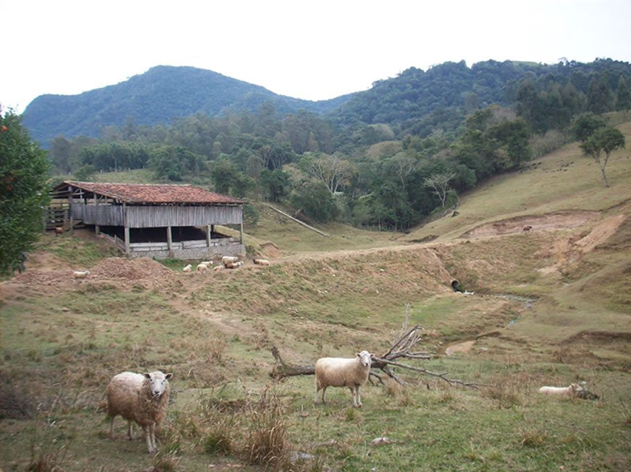 Fazenda de Jucemar Dall Ongaro, em Faxinal do Soturno/RS.